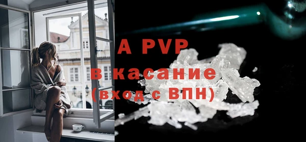 PSILOCYBIN Карпинск