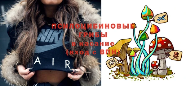 PSILOCYBIN Карпинск