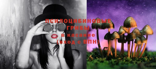 PSILOCYBIN Карпинск